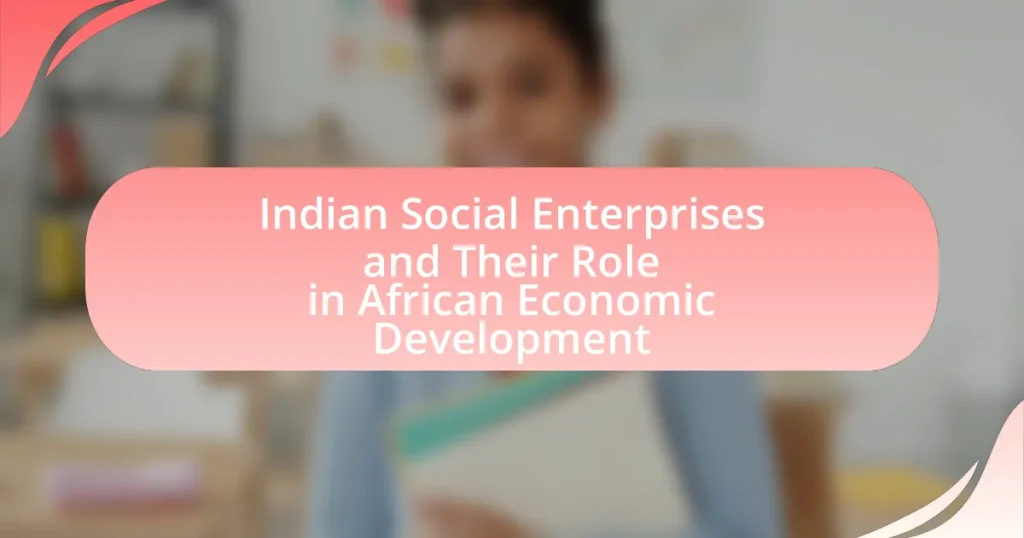 Indian Social Enterprises and Their Role in African Economic Development