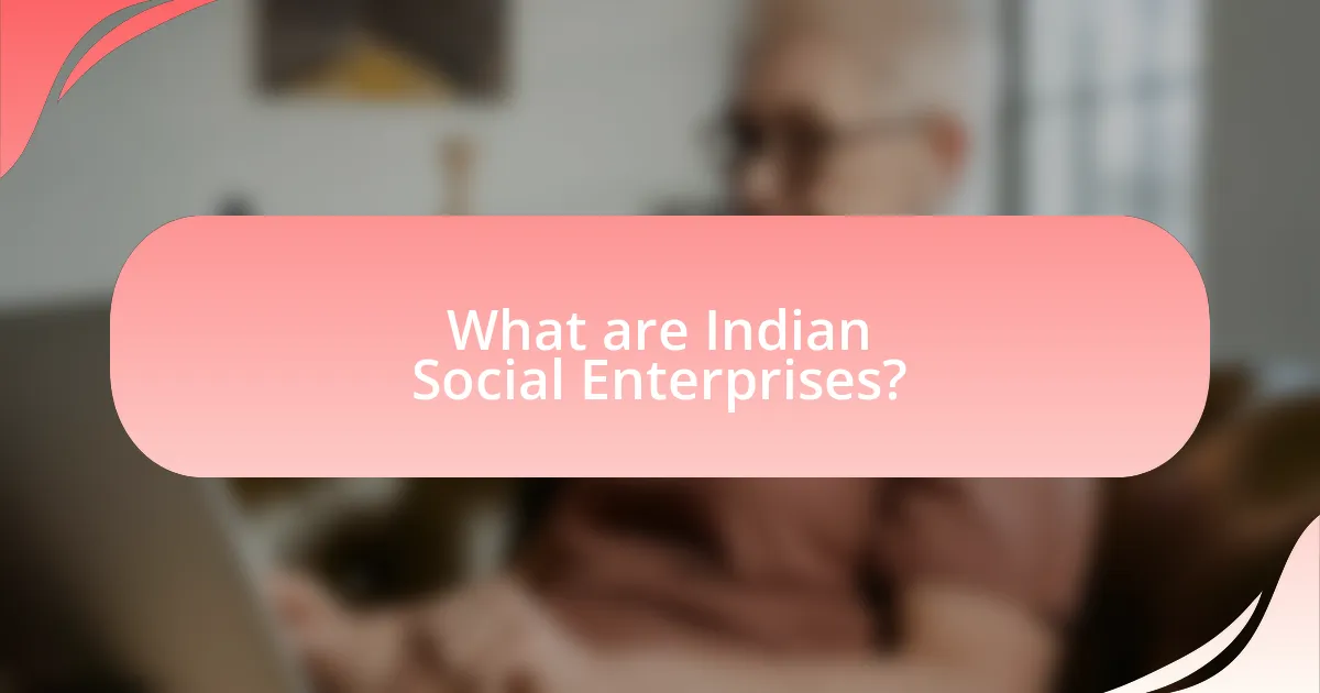 What are Indian Social Enterprises?