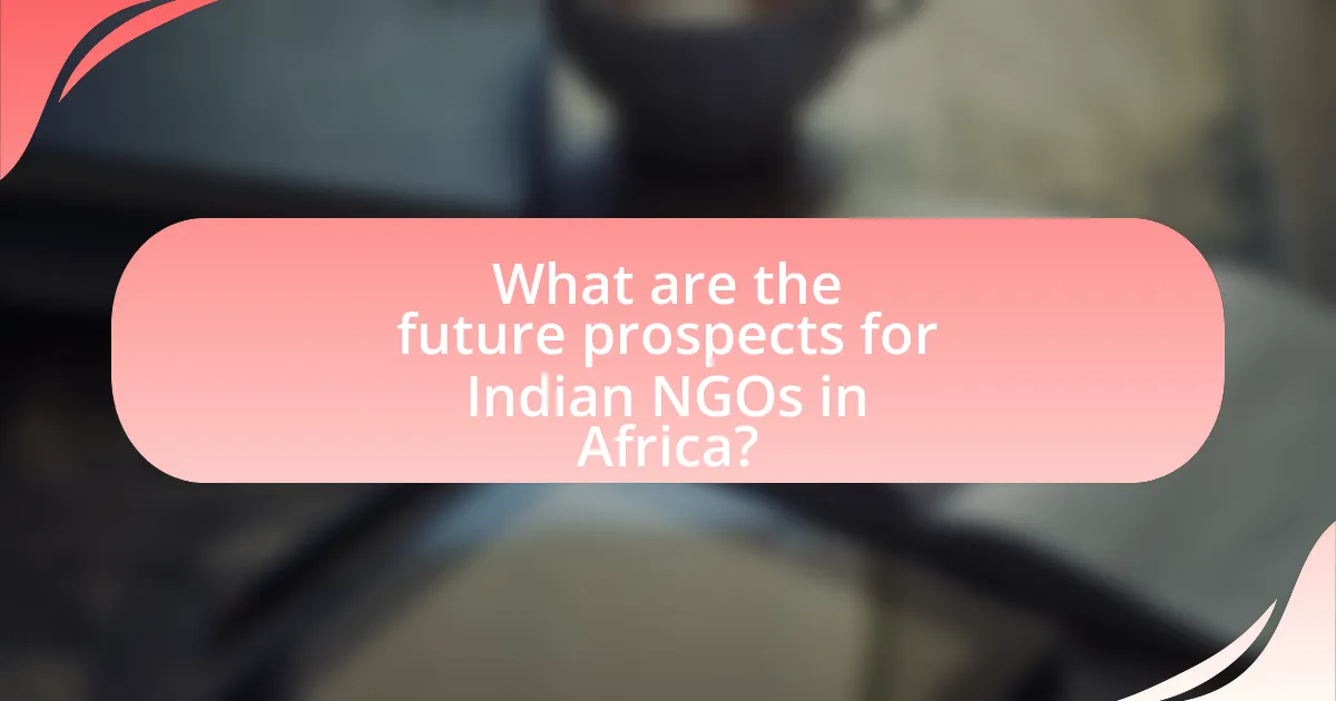What are the future prospects for Indian NGOs in Africa?