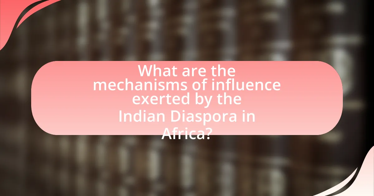 What are the mechanisms of influence exerted by the Indian Diaspora in Africa?
