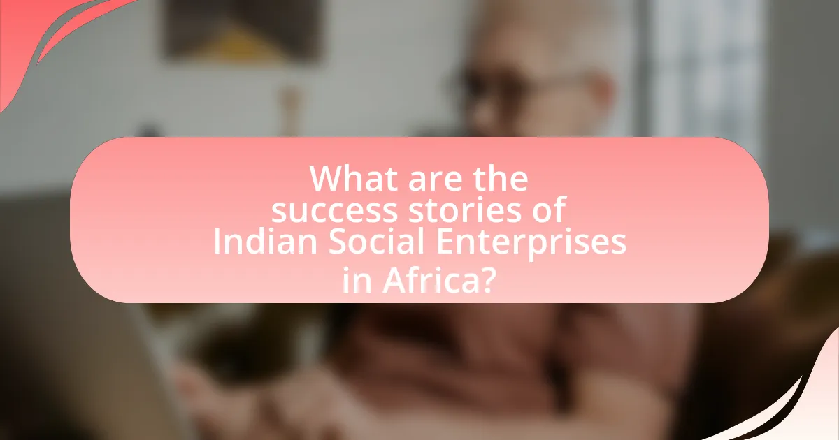 What are the success stories of Indian Social Enterprises in Africa?