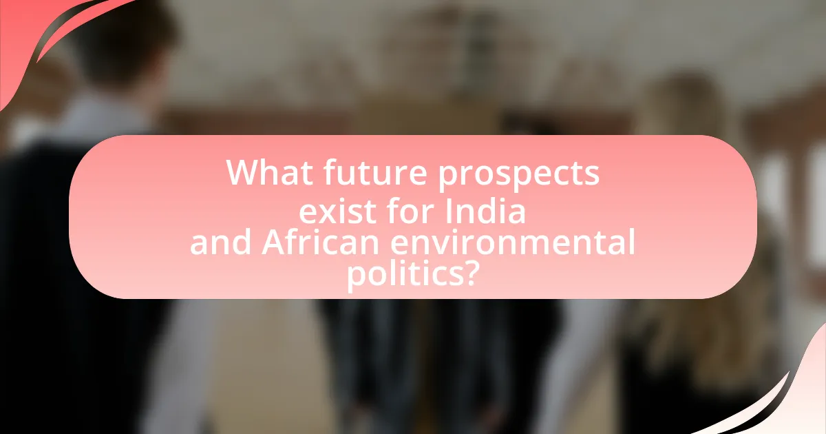 What future prospects exist for India and African environmental politics?