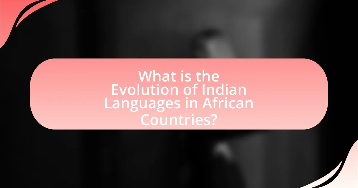 What is the Evolution of Indian Languages in African Countries?