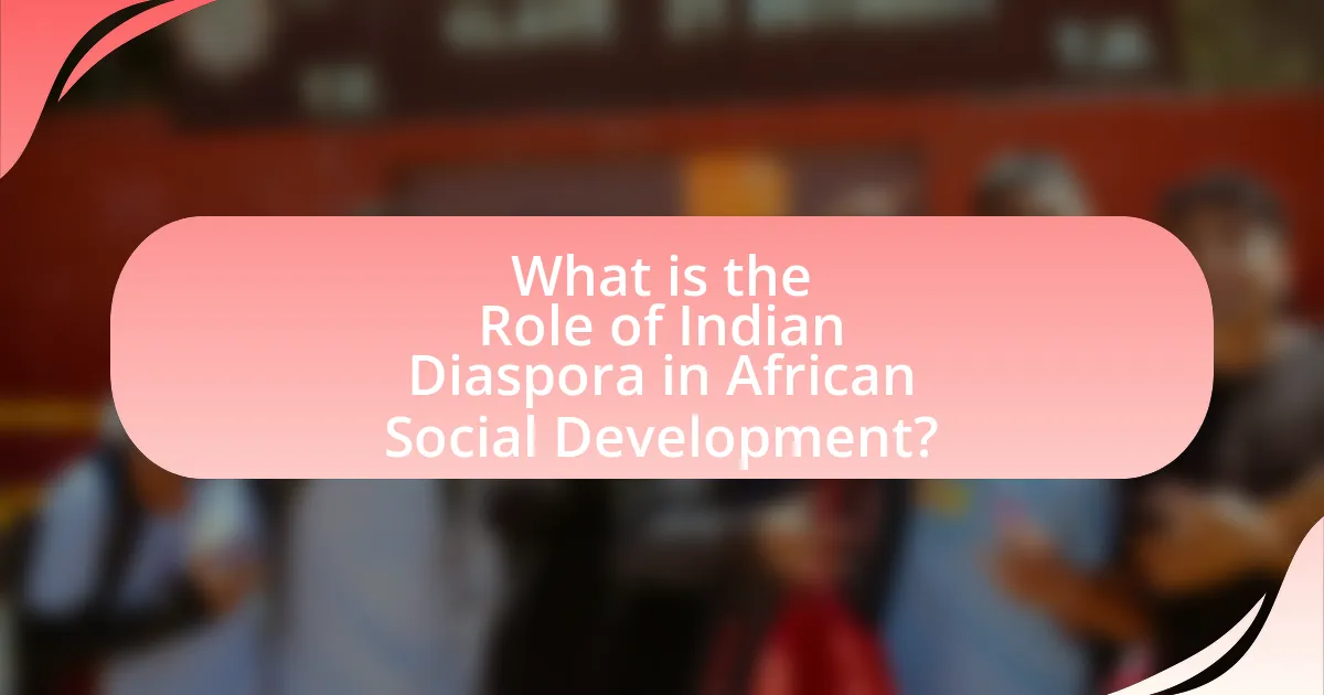 What is the Role of Indian Diaspora in African Social Development?