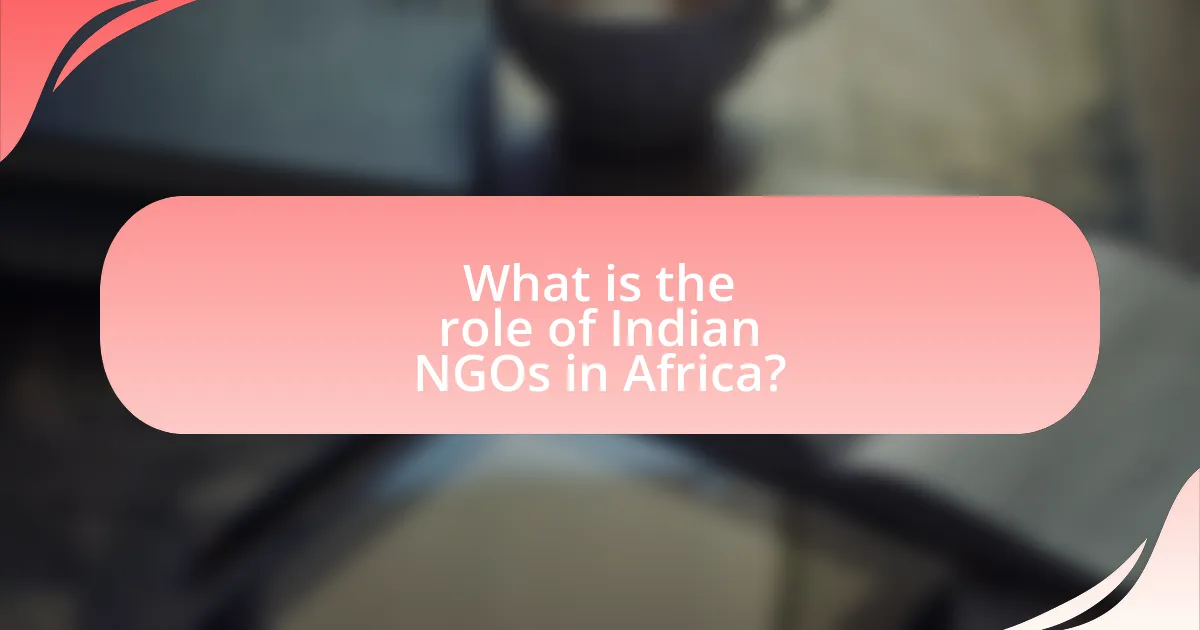 What is the role of Indian NGOs in Africa?