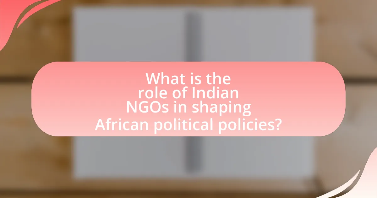 What is the role of Indian NGOs in shaping African political policies?