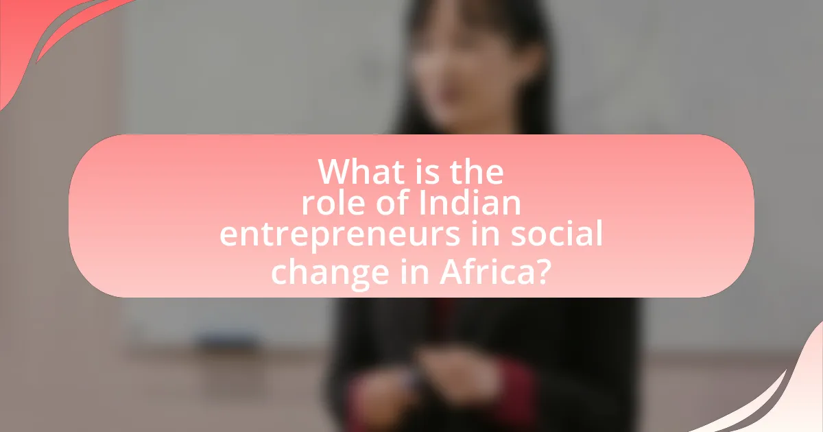 What is the role of Indian entrepreneurs in social change in Africa?