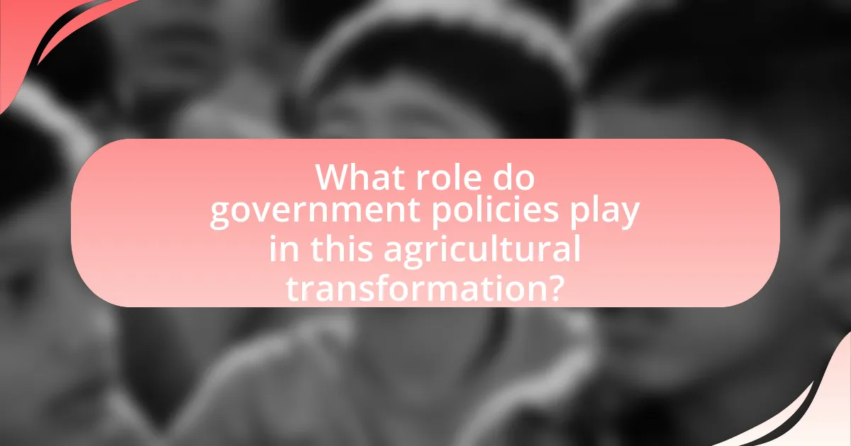 What role do government policies play in this agricultural transformation?