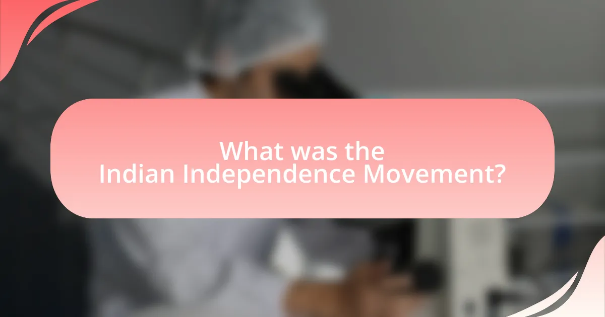 What was the Indian Independence Movement?